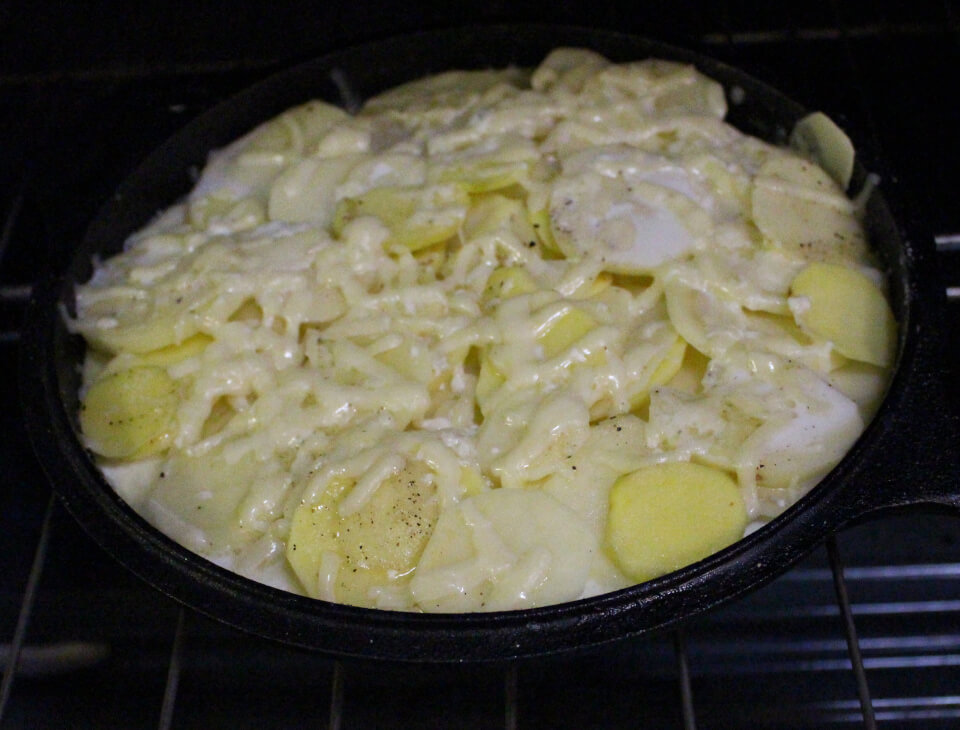 Scalloped Potatoes with Milk, Cheese, and a Pinch of Garlic