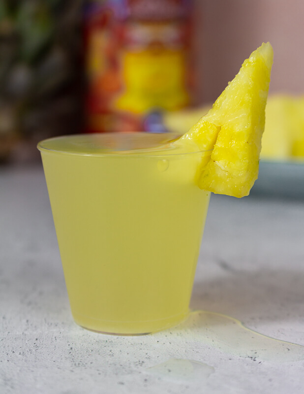 Pineapple Vodka Shot Recipes