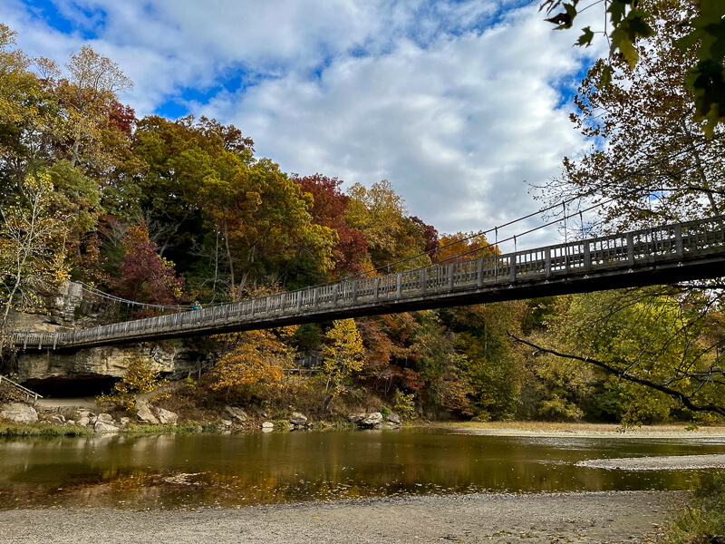 suspension bridge at turkey run state park