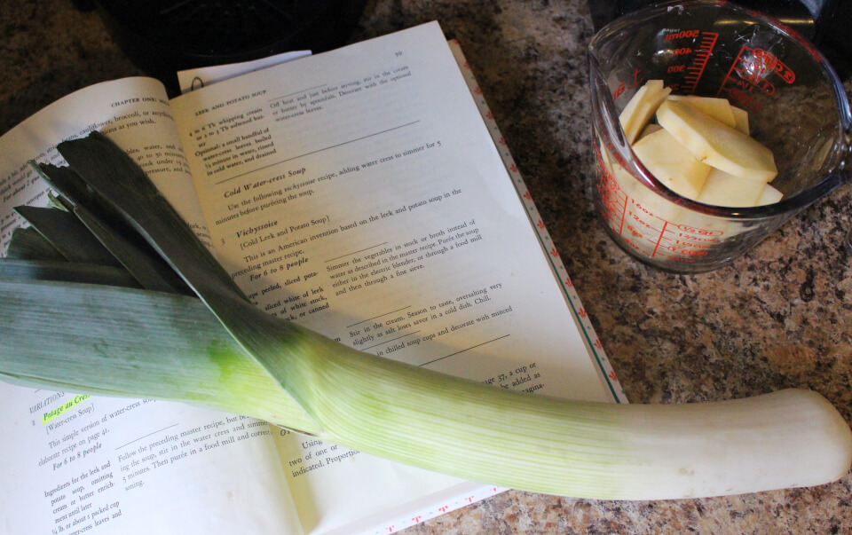 Cold Leek and Potato Soup