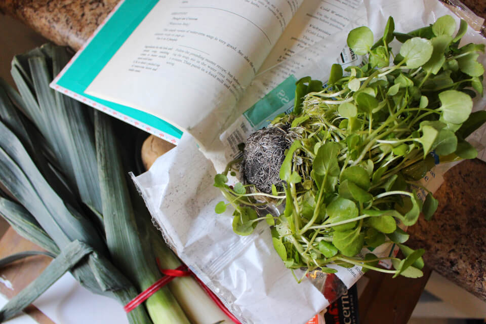 Julia Child Watercress